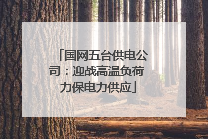 国网五台供电公司：迎战高温负荷 力保电力供应