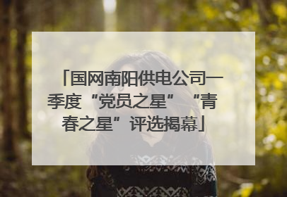 国网南阳供电公司一季度“党员之星”“青春之星”评选揭幕