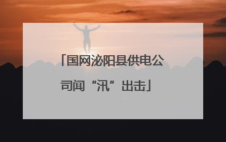 国网泌阳县供电公司闻“汛”出击