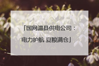 国网温县供电公司：电力护航 夏粮满仓