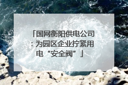 国网衡阳供电公司：为园区企业拧紧用电“安全阀”