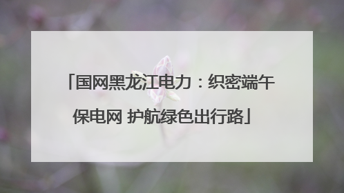 国网黑龙江电力：织密端午保电网 护航绿色出行路