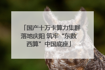 国产十万卡算力集群落地庆阳 筑牢“东数西算”中国底座