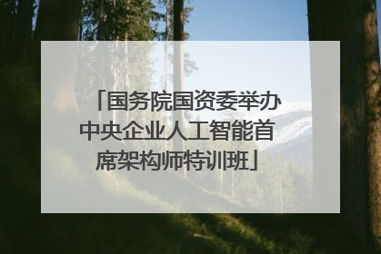 国务院国资委举办中央企业人工智能首席架构师特训班