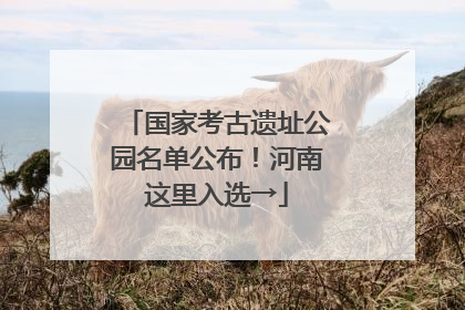 国家考古遗址公园名单公布！河南这里入选→