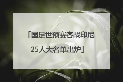 国足世预赛客战印尼25人大名单出炉