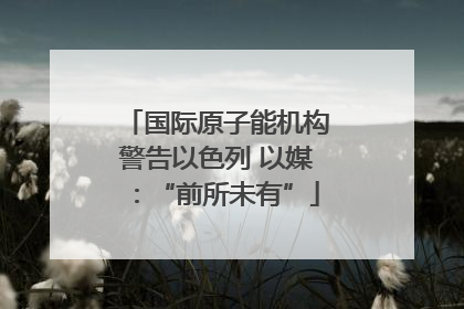 国际原子能机构警告以色列 以媒：“前所未有”