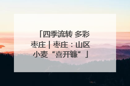 四季流转 多彩枣庄｜枣庄：山区小麦“喜开镰”