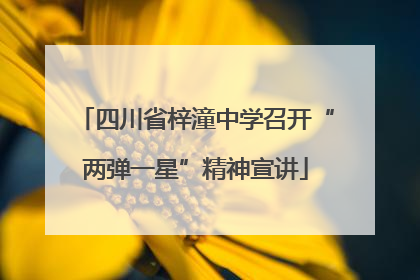 四川省梓潼中学召开“两弹一星”精神宣讲