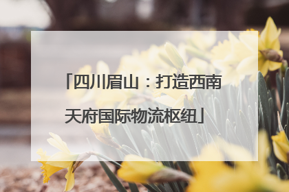 四川眉山：打造西南天府国际物流枢纽