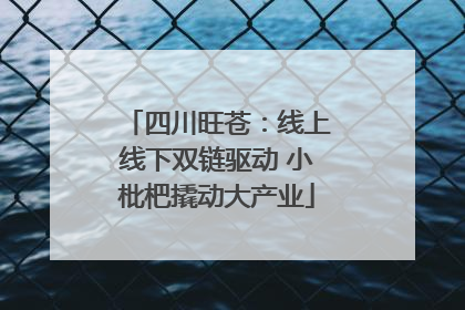 四川旺苍：线上线下双链驱动 小枇杷撬动大产业