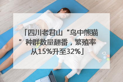 四川老君山“鸟中熊猫”种群数量翻番，繁殖率从15%升至32%