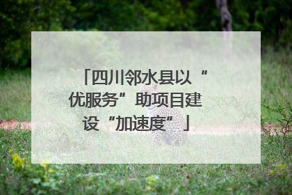 四川邻水县以“优服务”助项目建设“加速度”