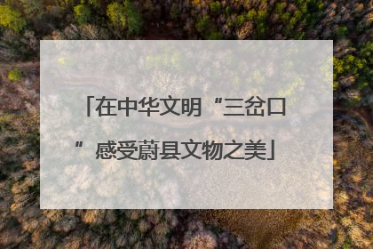 在中华文明“三岔口”感受蔚县文物之美