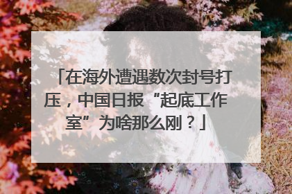 在海外遭遇数次封号打压，中国日报“起底工作室”为啥那么刚？