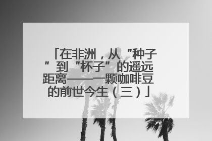 在非洲，从“种子”到“杯子”的遥远距离——一颗咖啡豆的前世今生（三）