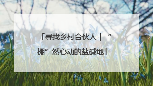 寻找乡村合伙人｜“棚”然心动的盐碱地
