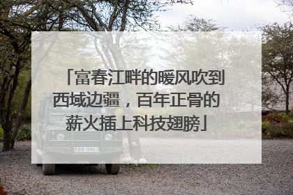 富春江畔的暖风吹到西域边疆，百年正骨的薪火插上科技翅膀
