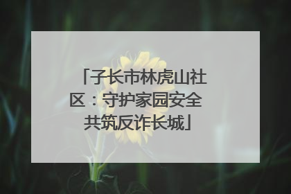 子长市林虎山社区：守护家园安全 共筑反诈长城