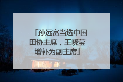 孙远富当选中国田协主席，王晓莹增补为副主席