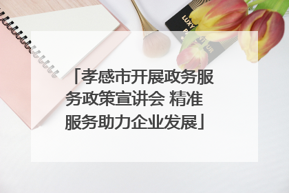 孝感市开展政务服务政策宣讲会 精准服务助力企业发展