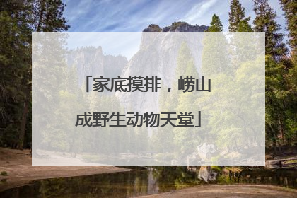 家底摸排，崂山成野生动物天堂