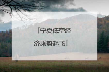 宁夏低空经济乘势起飞