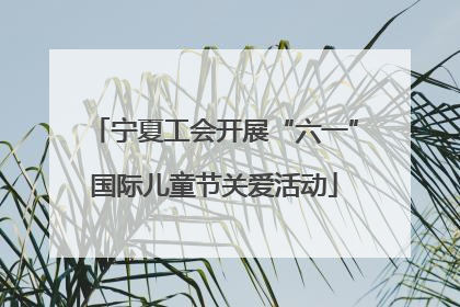宁夏工会开展“六一”国际儿童节关爱活动