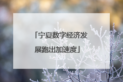 宁夏数字经济发展跑出加速度