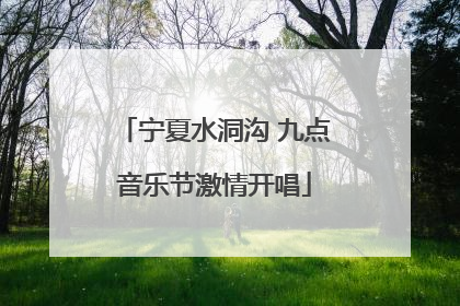 宁夏水洞沟 九点音乐节激情开唱