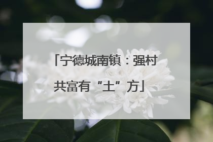 宁德城南镇：强村共富有“土”方