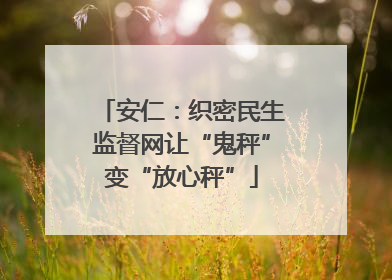 安仁：织密民生监督网让“鬼秤”变“放心秤”