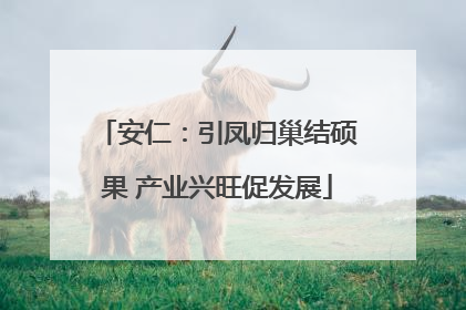 安仁：引凤归巢结硕果 产业兴旺促发展