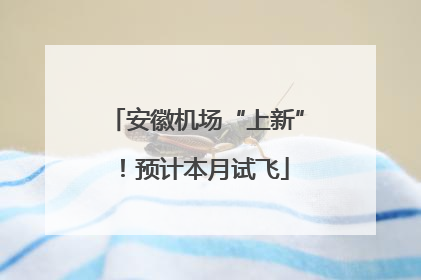 安徽机场“上新”！预计本月试飞