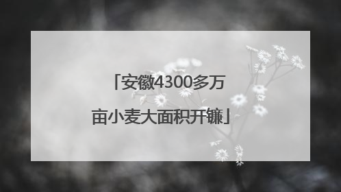 安徽4300多万亩小麦大面积开镰