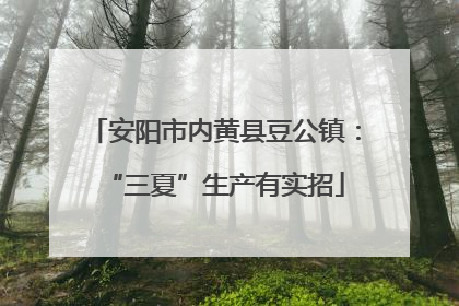 安阳市内黄县豆公镇：“三夏”生产有实招