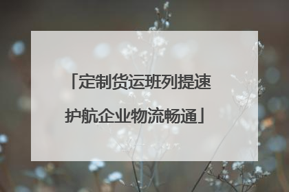 定制货运班列提速 护航企业物流畅通