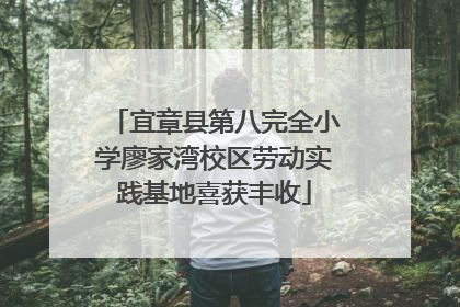 宜章县第八完全小学廖家湾校区劳动实践基地喜获丰收