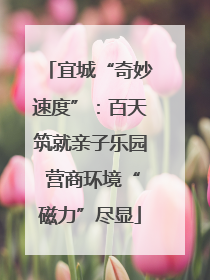 宜城“奇妙速度”：百天筑就亲子乐园 营商环境“磁力”尽显