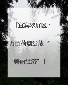 宜宾翠屏区：万亩荷塘绽放“美丽经济”