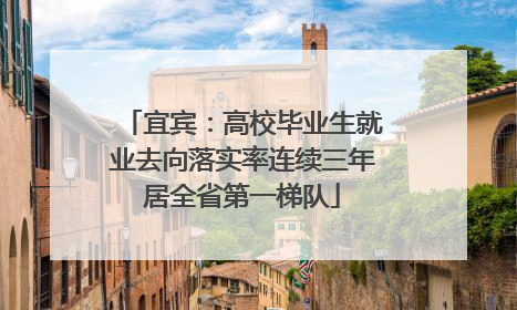 宜宾：高校毕业生就业去向落实率连续三年居全省第一梯队