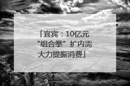 宜宾：10亿元“组合拳”扩内需 大力提振消费