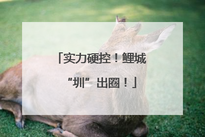 实力硬控！鲤城“圳”出圈！