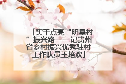 实干点亮“明星村”振兴路——记贵州省乡村振兴优秀驻村工作队员王培欢