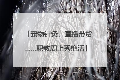 宠物针灸、直播带货……职教周上秀绝活