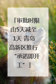 审批时限由5天减至1天 青岛高新区推行“承诺即开工”