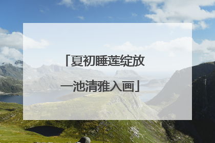 夏初睡莲绽放 一池清雅入画