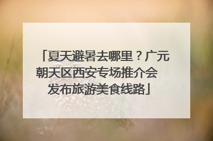 夏天避暑去哪里？广元朝天区西安专场推介会 发布旅游美食线路