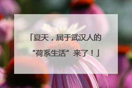 夏天，属于武汉人的“荷系生活”来了！