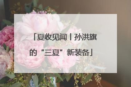 夏收见闻丨孙洪旗的“三夏”新装备